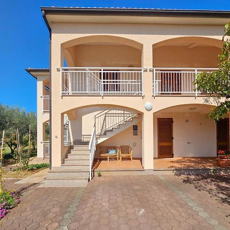 Appartamento Viola Novigrad Istria Esterno foto