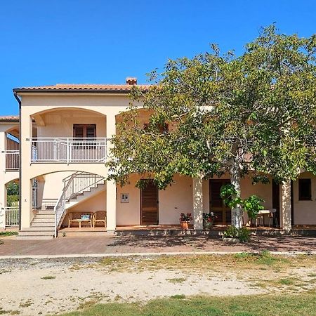Appartamento Viola Novigrad Istria Esterno foto
