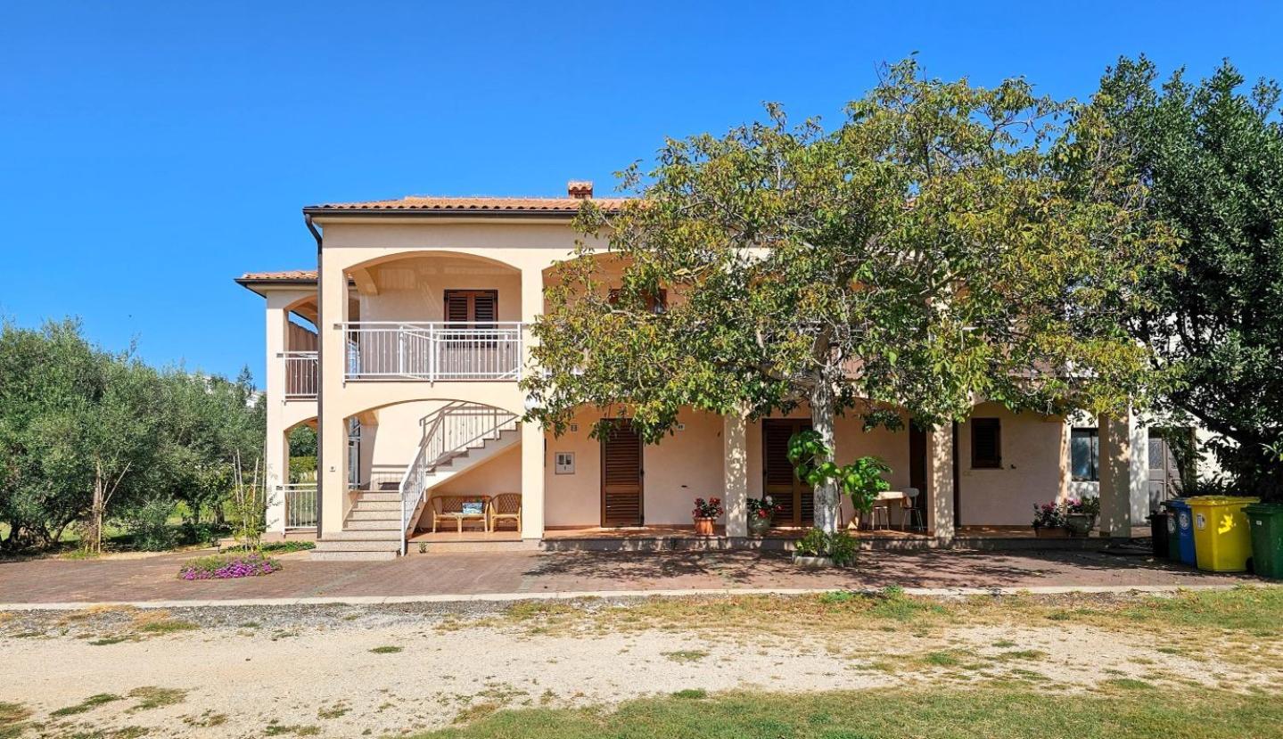 Appartamento Viola Novigrad Istria Esterno foto